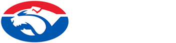 South Launceston Football Club - Bulldogs